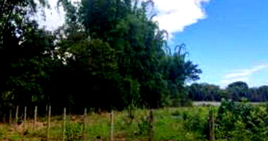 Quinhão de Terras Rurais em Goiânia - Oportunidade de Investimento