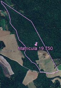Terreno rural com 49,63 hectares em Paula Freitas