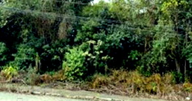 Terreno Urbano em Mafra/SC com 538,63m²