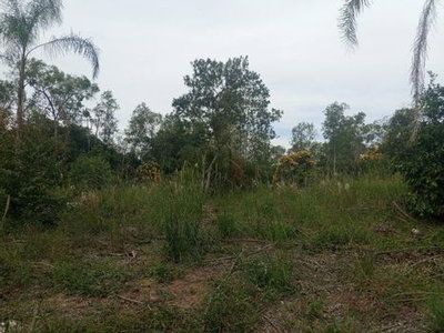 Área de Terras Rural Desocupada em Montenegro/RS