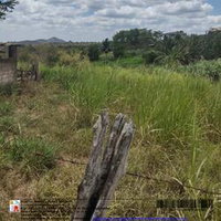 2 Terrenos em Loteamento Nova Guarabira