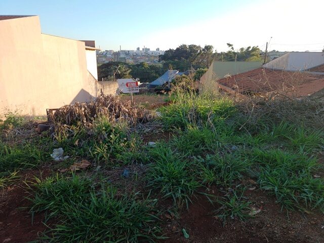 Terreno no Jardim Columbia - 360m²