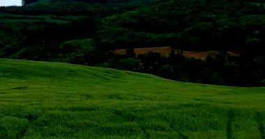 Fração Ideal de Imóvel Rural com Área de 61.666,50m²