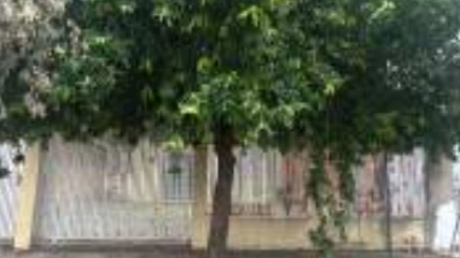 Casa com 2 quartos, 1 banheiro e 40m² de área construída