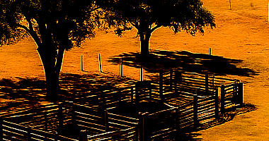 Imóvel Rural com 3ha e Lavoura de Café