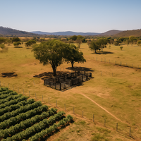 Imóvel Rural com 3ha e Lavoura de Café