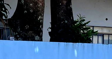 Casa com 71m² construída em terreno plano de 300m², ocupada