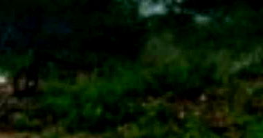 Terreno 142,17 m² no Loteamento Vivari