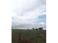 Área Rural de 5,72ha em Leilão Judicial - Andradina/SP