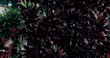 Apartamento 3 quartos 3 banheiros 1 vaga 175m² ocupado