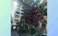 Apartamento 3 quartos 3 banheiros 1 vaga 175m²
