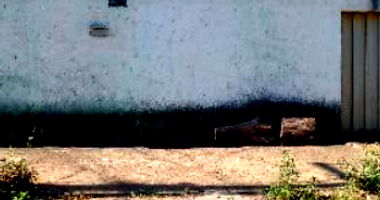 Casa com 4 quartos em Aparecida de Goiânia