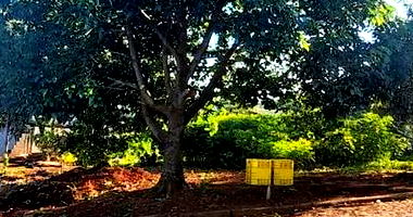 Lote Urbano 456,58m² em São Domingos II