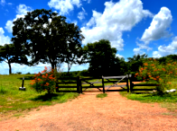 Fazenda com 707 hectares e benfeitorias em Tocantinópolis