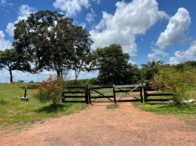 Fazenda com 707 hectares e benfeitorias em Tocantinópolis
