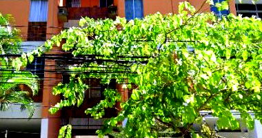 Apartamento com 78 m² e 1 vaga em Pina, Recife