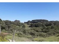 Terreno em Leilão com 13.079,44m² em Caxias do Sul/RS