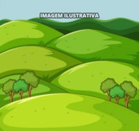 Terreno em Itabaianinha/SE com 4.25 hectares
