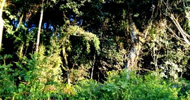 Fração ideal de terreno rural em Erechim/RS