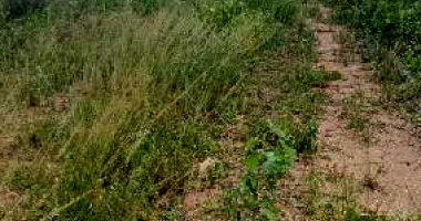 Casa com 2 Quartos em Glória do Goitá/PE