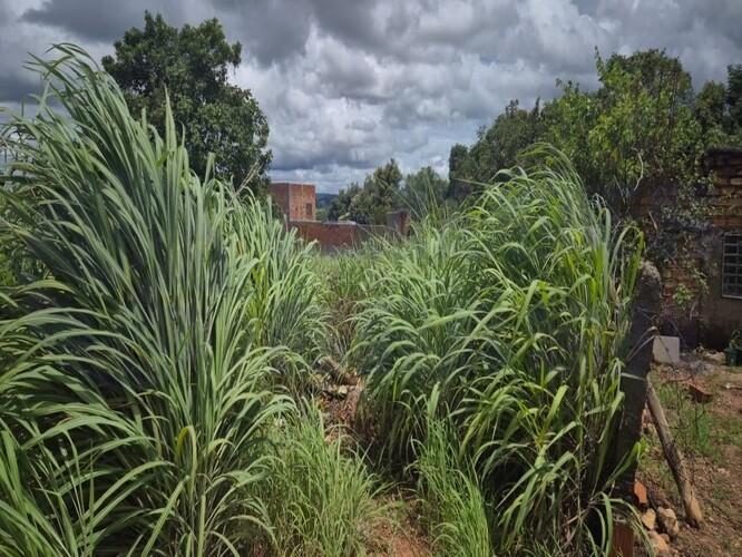Lote urbano de 371,88m² em Caldas Novas, ideal para construção