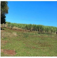 Terreno rural com 55.122,22m², casa e galpão em São Carlos do Ivaí/PR