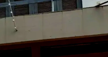 Terreno em São Leopoldo com 384m² na Rua Emílio Dexheimer