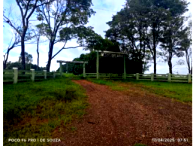 Fazenda com 539,52ha e Benfeitorias em Deodápolis/MS