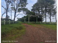 Fazenda com 539,52ha e Benfeitorias em Deodápolis/MS