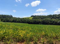Fração de Terreno Rural com 141.020m² em Santa Izabel do Oeste/PR
