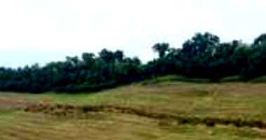 Imóvel Rural com Área Total 54.250 m² em Santa Izabel do Oeste-PR