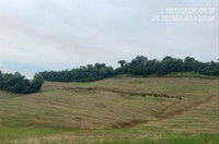 Imóvel Rural com Área Total 54.250 m² em Santa Izabel do Oeste-PR