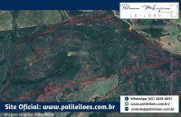 Fazenda Cristalina II com 370,646 ha em Alto Araguaia/MT