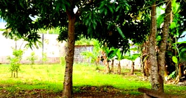 Direitos do Terreno, 486m², JARDIM PERNAMBUCO II, Praia do Pernambuco, Guarujá/SP