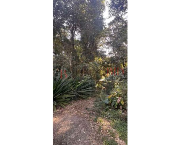 Terreno de 1.300m² em Mairiporã, ideal para investimento