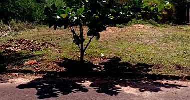 Terreno Urbano com 315,39 m² em Terra Roxa/PR