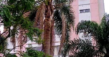 Apartamento com 1 quarto e 1 banheiro em Porto Alegre