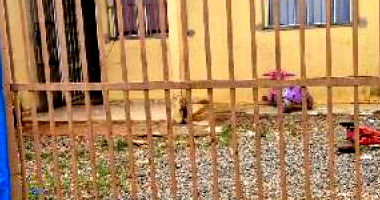 Casa com 2 quartos, 61.8m² em Santo Antônio do Descoberto