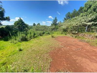 Terreno urbano 589m² em Erval Grande/RS - Lance inicial R$150.000
