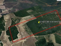 Fazenda São Joaquim - 100 ha - Ocupada