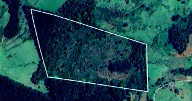 Imóvel Rural com Área Total de 10.6685 Hectares