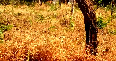 Terreno em Condomínio com 1.055,66 m² em Jaboticatubas/MG