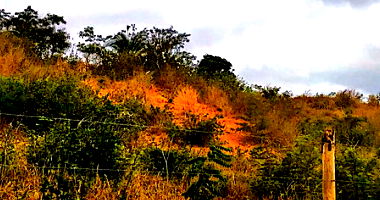 Fazenda Saco dos Bois com 93ha em Jacaraci/BA