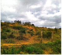 Fazenda Saco dos Bois com 93ha em Jacaraci/BA