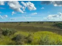 Amplo Terreno em Leilão com 55 Hectares