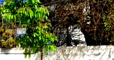 Centro Esportivo Castelo Branco com 17.323m² em Realengo, Rio de Janeiro