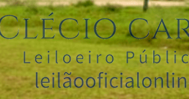 Fração Ideal 16,25% - Fazenda Córrego Fundo - Ituverava - SP