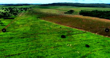 Fazenda Valentino - 1.899,27 ha - DUPLA APTIDÃO (AGRICULTURA E PECUÁRIA)