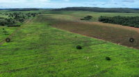 Fazenda Valentino - 1.899,27 ha - DUPLA APTIDÃO (AGRICULTURA E PECUÁRIA)