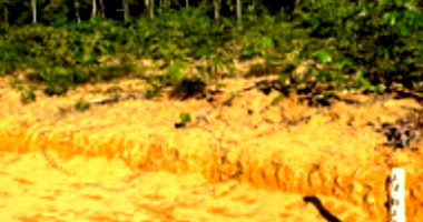 Terreno Residencial Resort das Cachoeiras com 410,19 m²